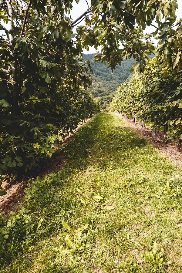 La Via Claudia Casa Vacanze Valmareno Italië